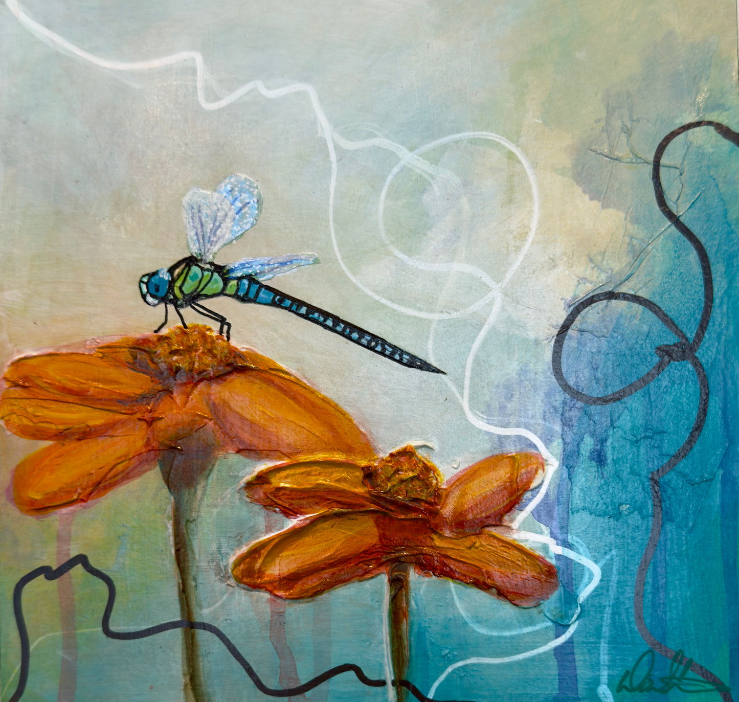 Dragonfly Dreams